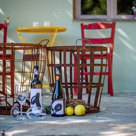 Arsinoe - Cosy Guesthouse- Hotel Methana